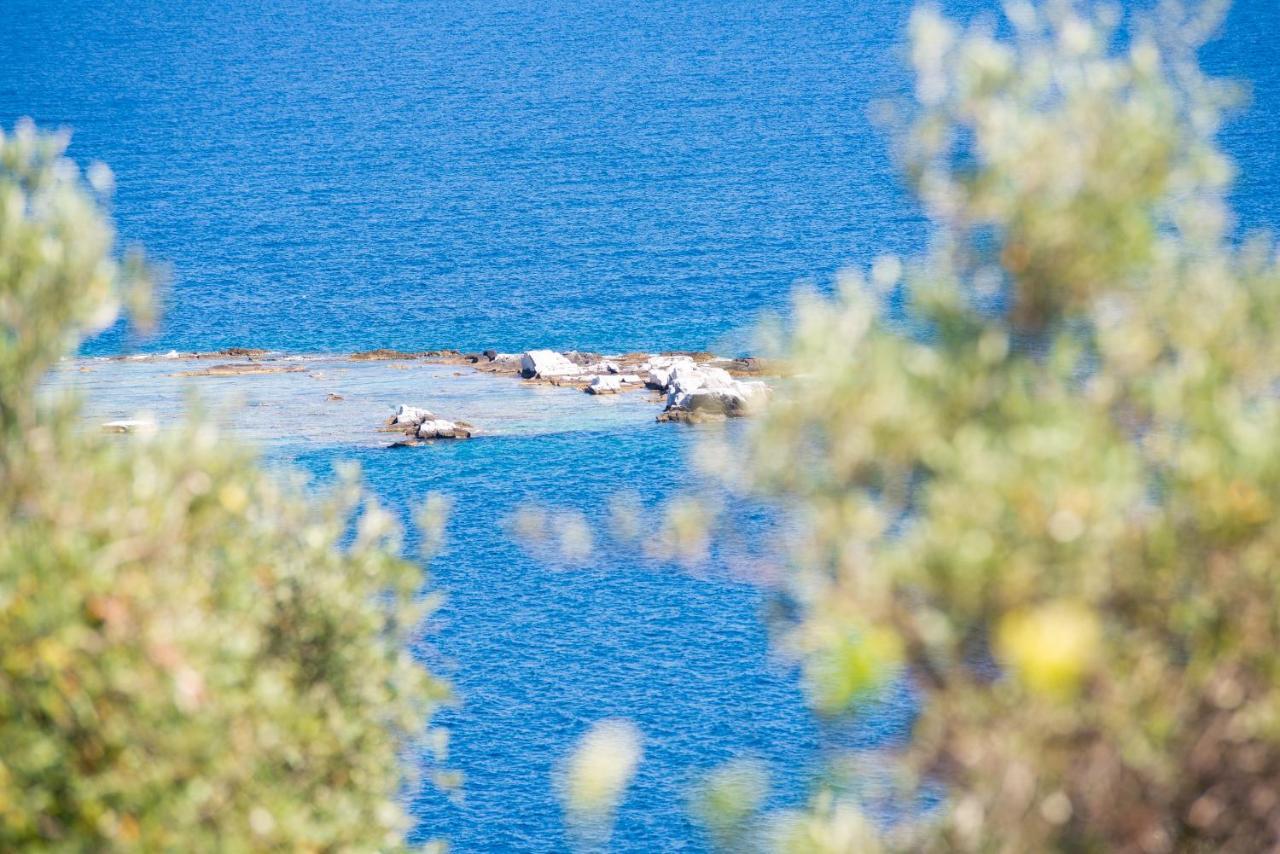 Archodissa Villa Thimonia Eksteriør billede